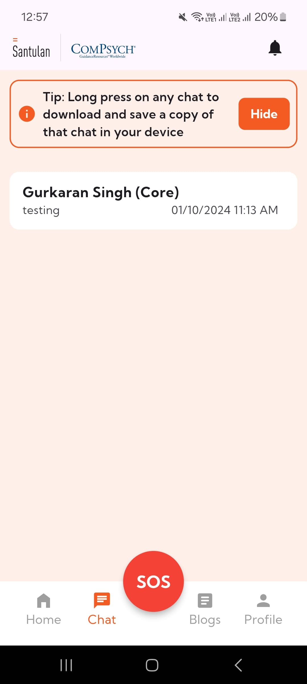 Chat Section Mobile View
