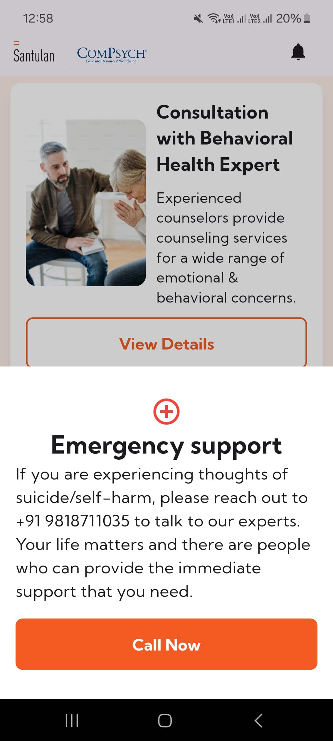 Emergency Support Interface