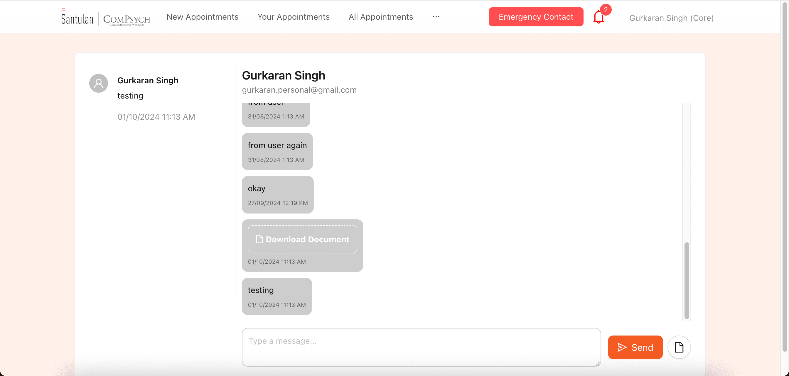 Web Version of Chat Interface
